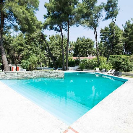 Villa Irini In Sani باراليا ساني المظهر الخارجي الصورة